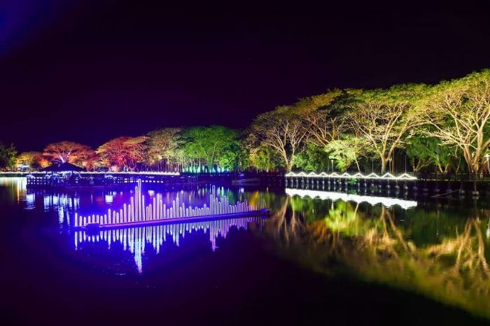 3月蘭展即將魅力登場 黃偉哲市長邀請大家白天逛蘭展、晚上天鵝湖賞燈