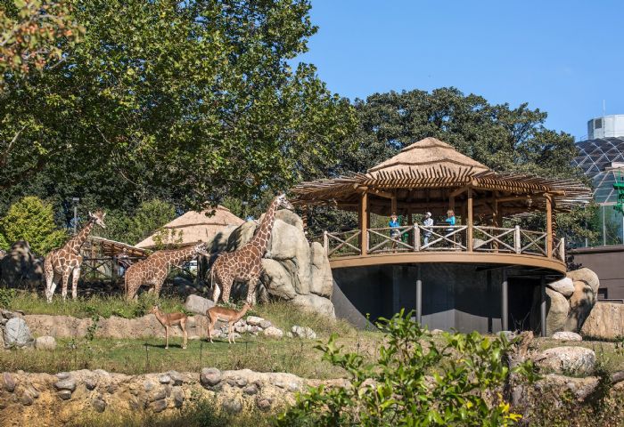 美國頂級動物園? 美國 10Best 揭曉 2023 年讀者選擇獎