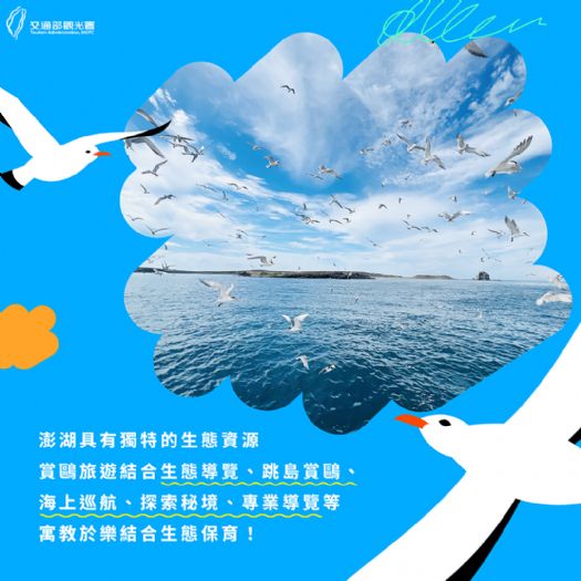 澎湖春日賞鷗之旅:探索自然美景,尋找燕鷗的家園