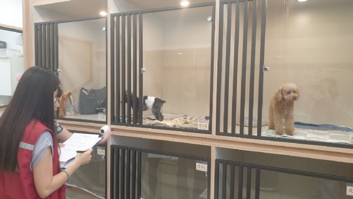 新北市動保處兩年一次寵物業評鑑，推動專業化動物照護