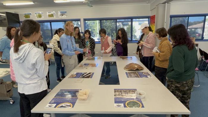114年中小學國際教育教師出國培力計畫開放報名，助力教師拓展國際視野