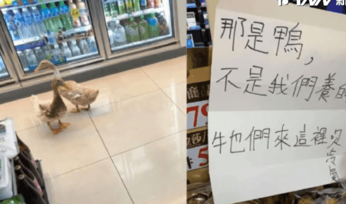 台灣便利商店成「動物避暑天堂」！可愛「不速之客」引爆網路話題