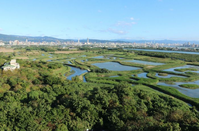 春天來臨，關渡自然公園邀您共探濕地生態之美