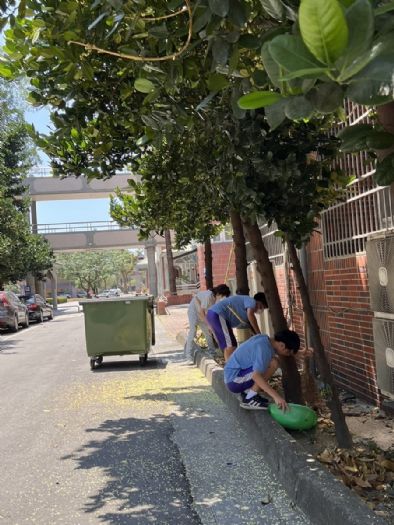 暑期防疫啟動！教育部國教署呼籲校園攜手防堵登革熱，守護師生健康