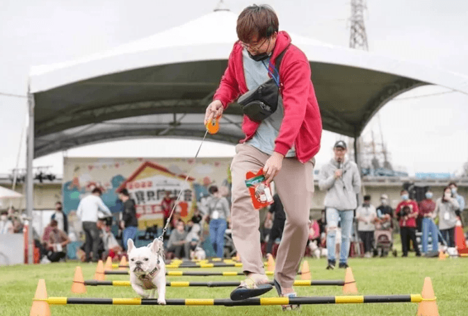 竹市將有新寵物公園了 毛小孩運動會9日樹林頭公園登場