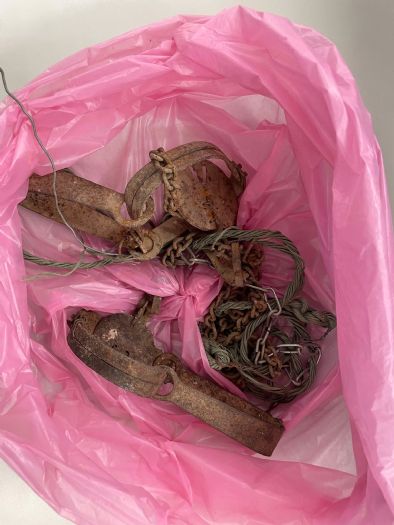 保護動物安全，嚴防非法陷阱傷害