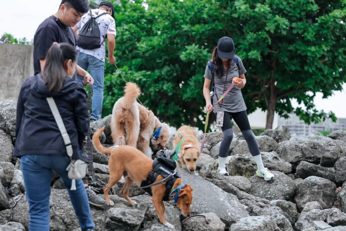 國際搜救犬日：與「好伴狗狗」一起體驗搜救犬的英勇與訓練