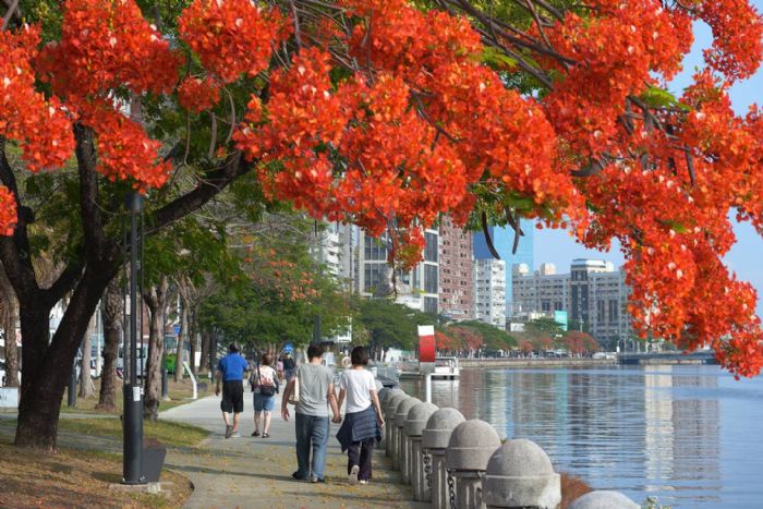 漫遊愛河體驗新風貌 河西市集周末登場
