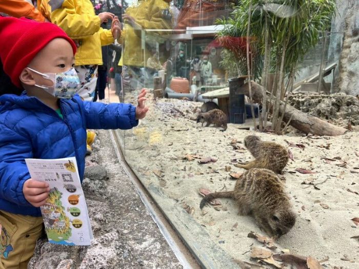 壽山動物園夯!歡慶兒童節加碼現場票1000張