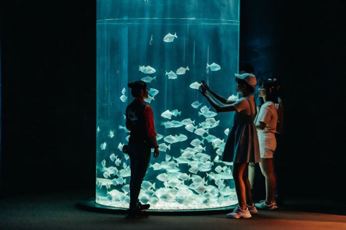 今夏與海龜不期而遇！屏東海生館夜宿「觀珊望海」啟航 登上半潛艇、潛入絢爛珊瑚礁