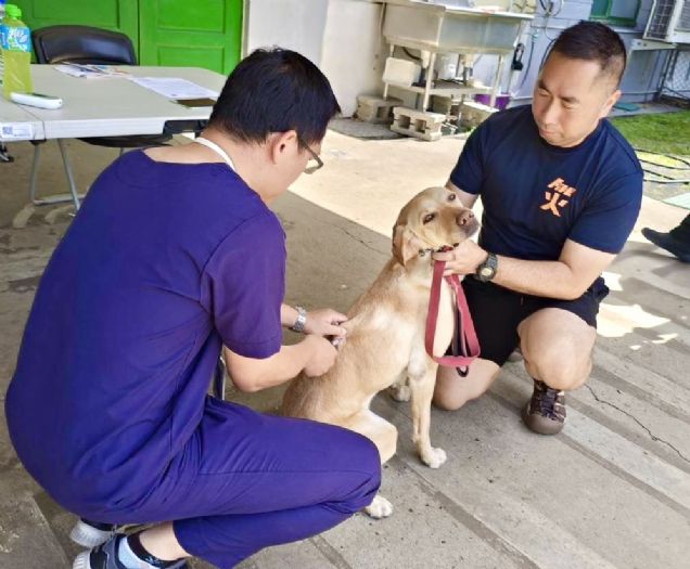 守護無聲英雄：為救災搜救犬與警犬注射疫苗，保障健康與安全