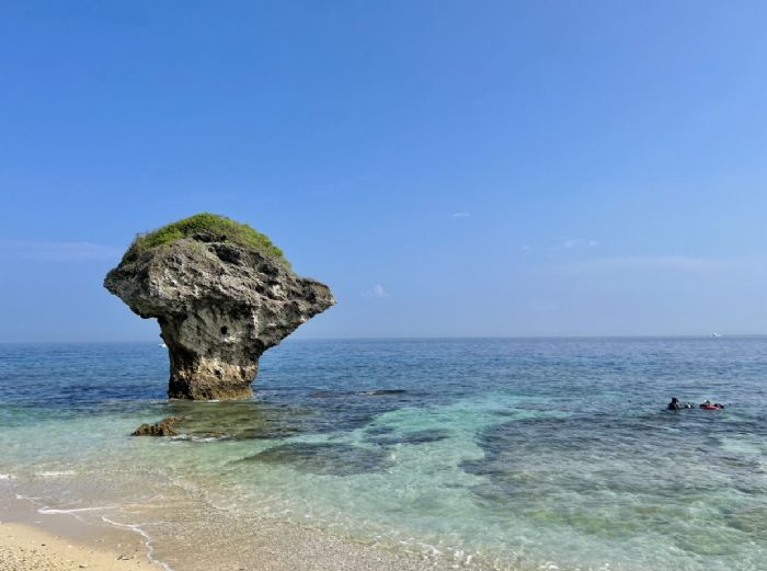 數位集章玩轉屏東黑鮪魚季,傳統文化變身趣味旅遊新體驗