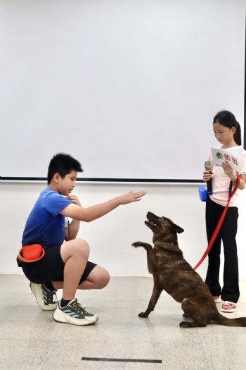 孩子與狗狗共創美好回憶，2025療癒犬夏令營高階班送養會溫馨登場
