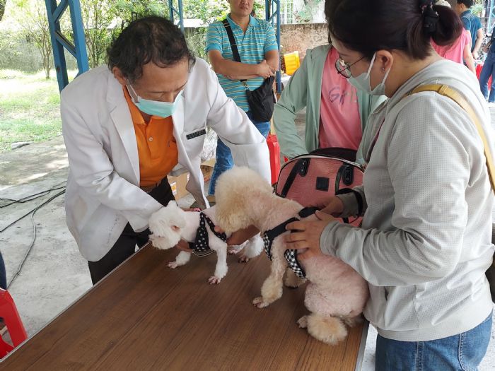 屏東縣響應世界狂犬病日,毛孩健檢,免費疫苗注射溫馨登場