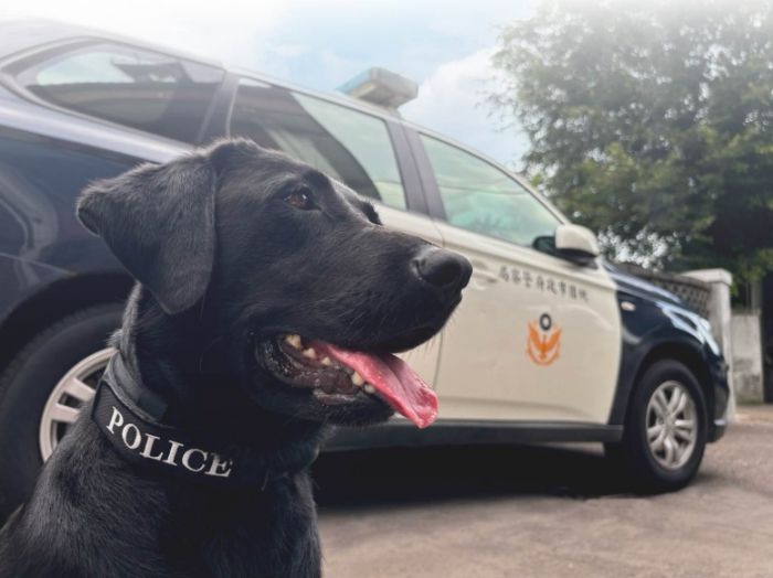 桃園市攜手守護警犬與消防犬健康，打造溫馨安心的執勤環境