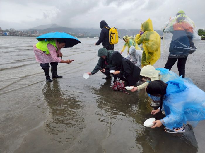 千隻鱟寶寶幸福回歸海洋!臺北市「鱟知鱟學」計畫激發學童永續守護的熱情
