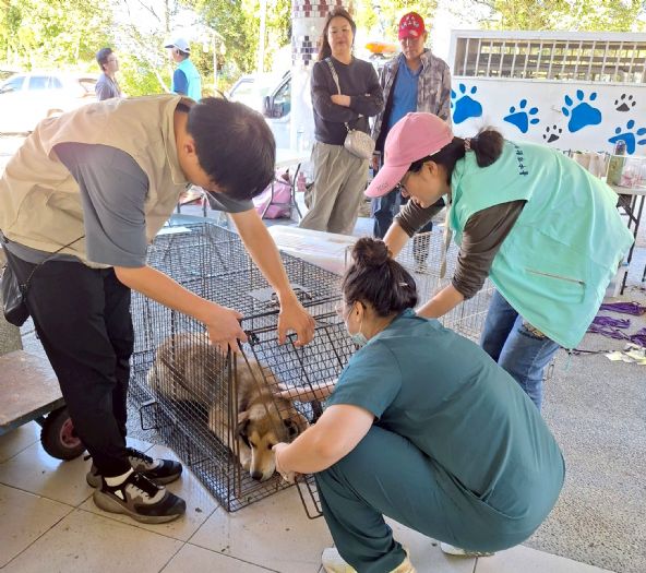守護毛孩健康！臺中梨山展開免費狂犬病防疫專案，攜手居民打造安心社區