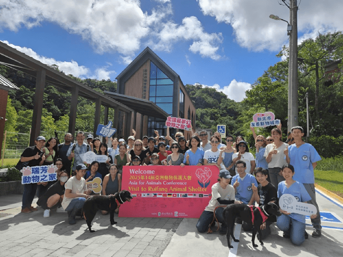 2025亞洲動保大會首度登台｜17國專家齊聚新北瑞芳，搭起跨國動物認養新橋梁