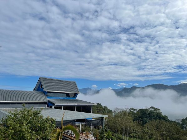 激發竹縣新奇的秘境「日木花園」現身!集結景觀咖啡廳、迷人小木屋,精心打造由退休夫妻打破常規的綠意天地。