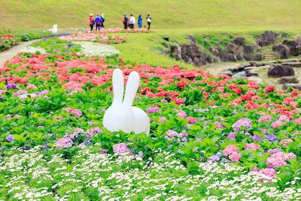 北市最新繡球花勝地!搭捷運即可抵達內湖「212坪愛心花海」 賞花美景迎接過年
