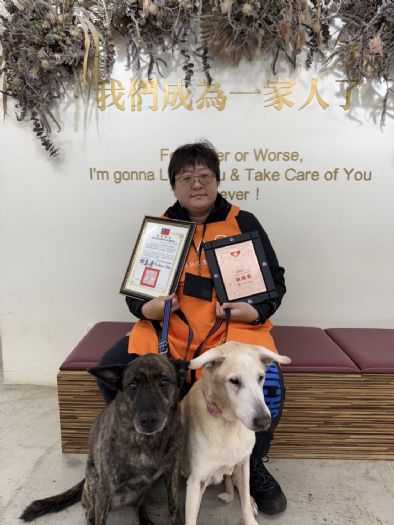 用陪伴為毛孩點亮希望，北市動物之家志工獲志願服務金銀銅獎肯定